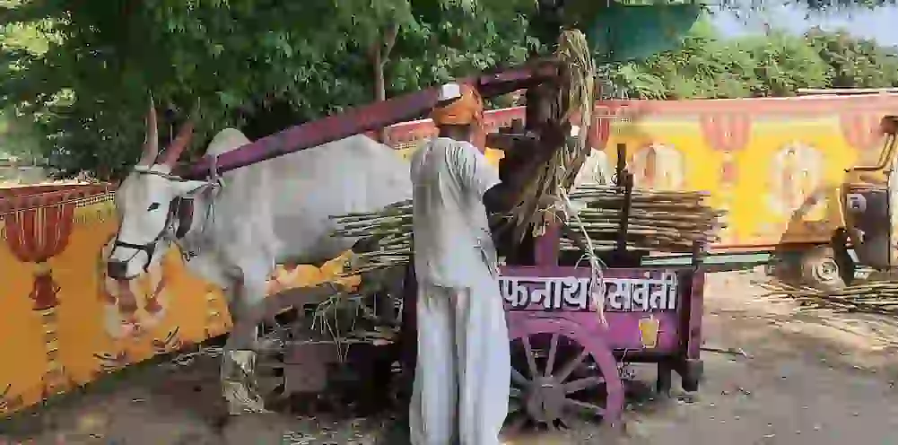 Shani Shingnapur Cane juice road side